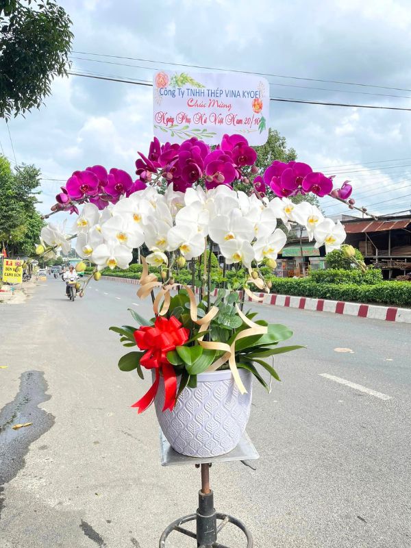 Đặt Hàng Nhanh Chóng và An Toàn